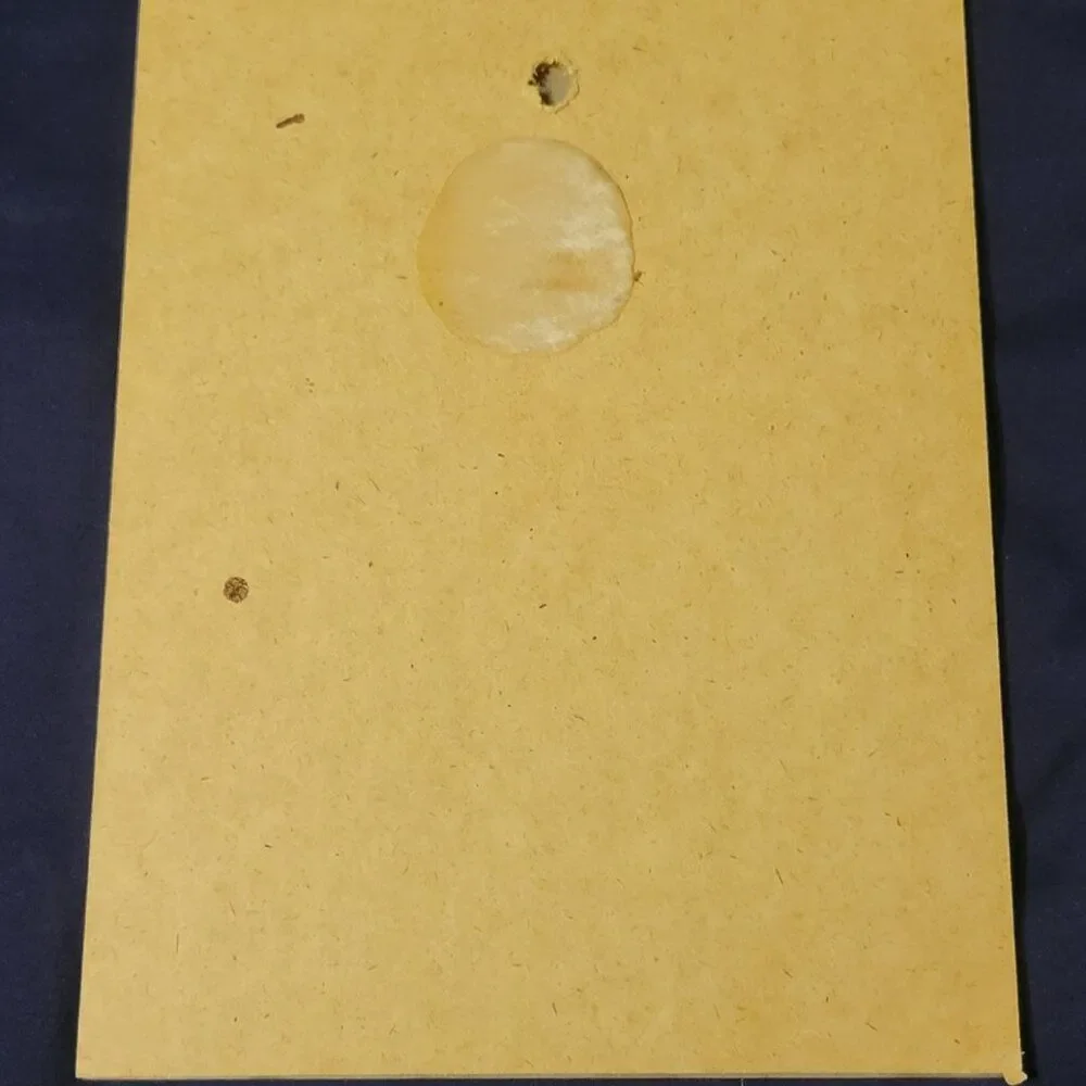 VINTAGE 1970s EVANS HUMMEL LITHOGRAPH MOUNTED ON CHIPBOARD